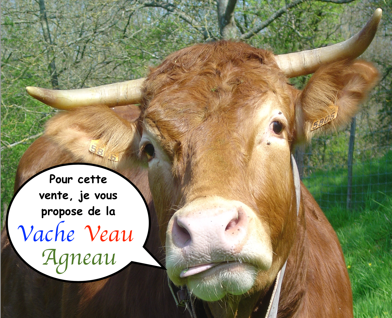 Vente du 28 et 29 juin 2024