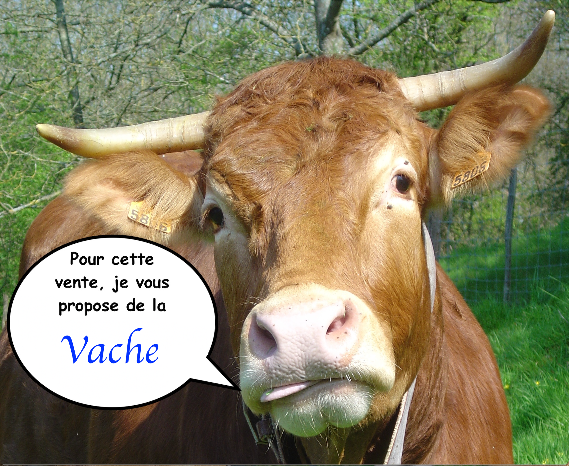 Vente du 14 et 15 mars 2025