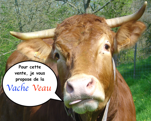 vente du 3 et 4 juillet 2026